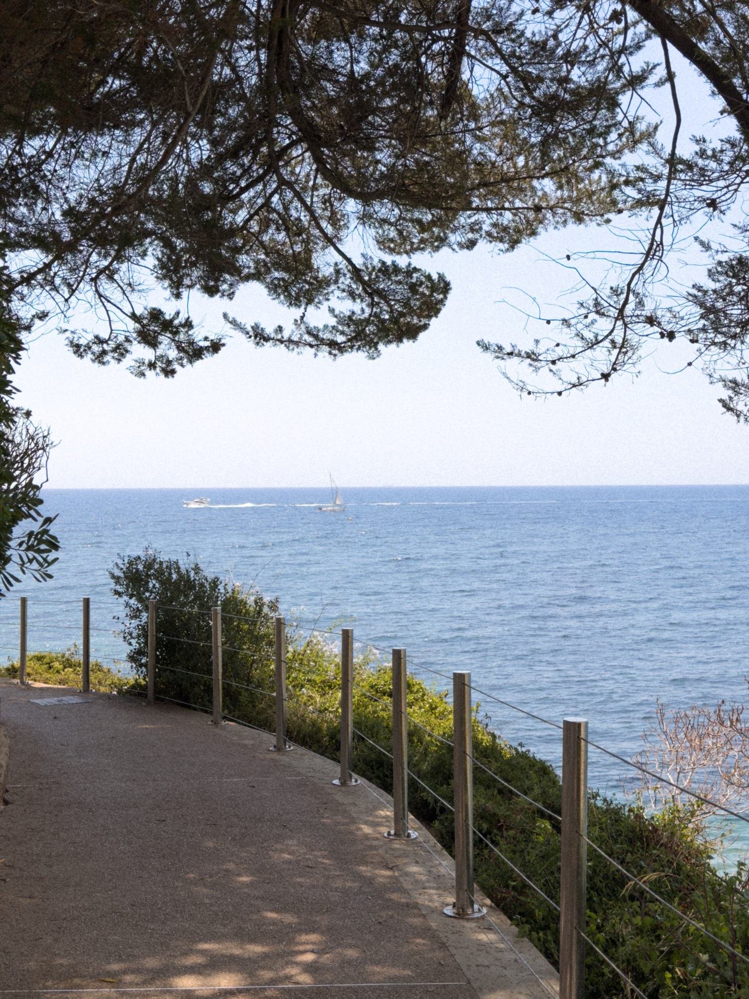 Le sentier du littoral de Cap-d’Ail, sous les pins, au bord de la mer